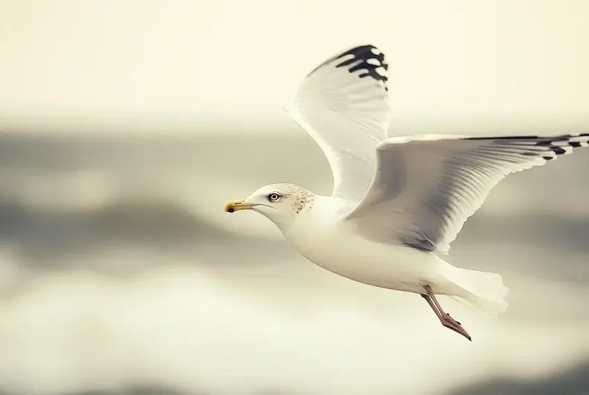 Juan Salvador Gaviota – Richard Bach: Un relato de libertad y superación